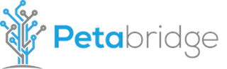 Petabridge - helping developers discover entirely new ways to take on audacious challenges..