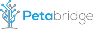 Petabridge - We help .NET companies make distributed, realtime applications.