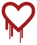 Heartbleed bug